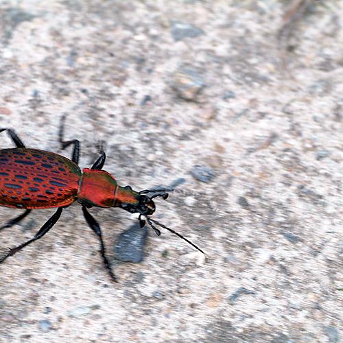 오늘 아침엔215-2탄