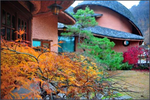 가을의 끝자락에서....