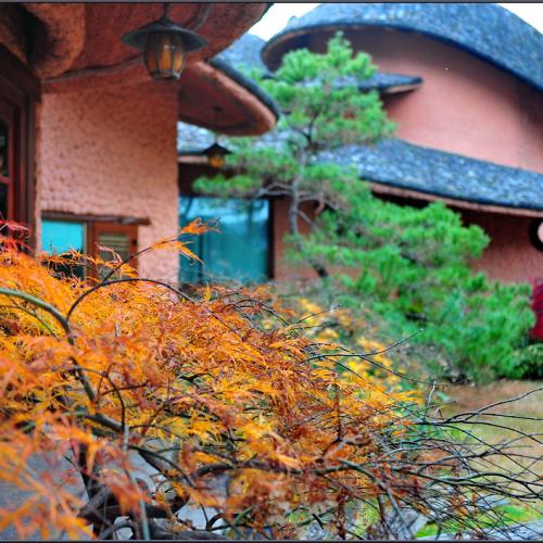 가을의 끝자락에서....