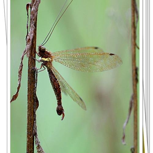 오늘 아침엔90탄