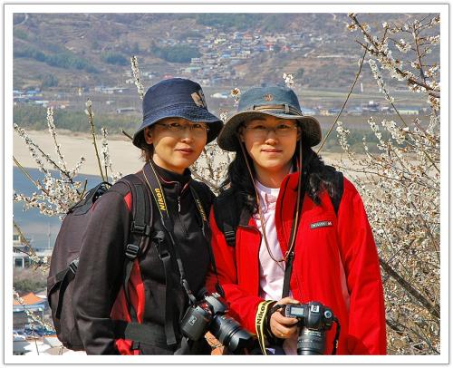 벗꽃 줌마와 아가씨