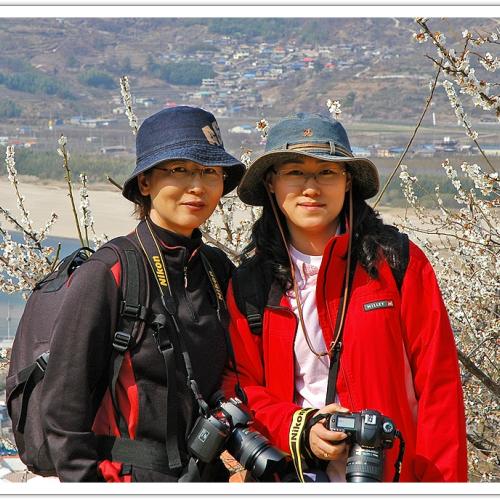 벗꽃 줌마와 아가씨