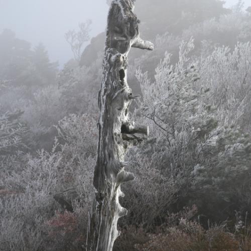 지리산의 설화풍경