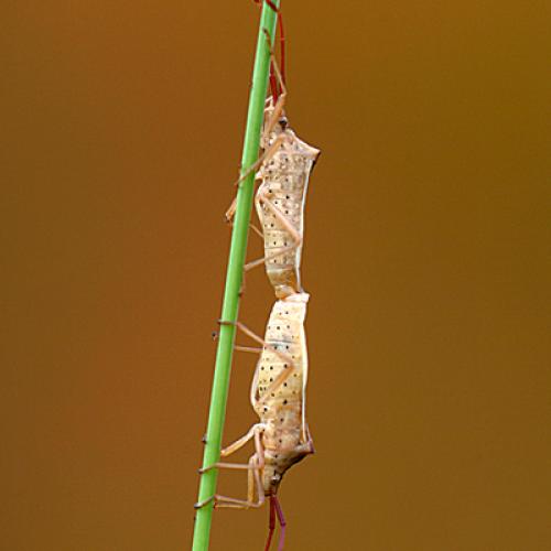 오늘 아침엔216탄