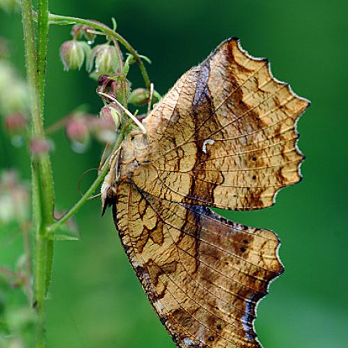 오늘 아침엔92탄
