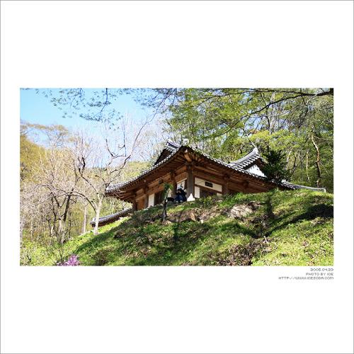 가우디님 뭐하세요?