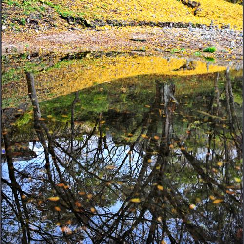 가을의 끝자락에.....