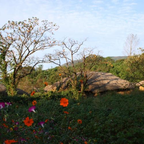 낙안읍성의 가을풍경