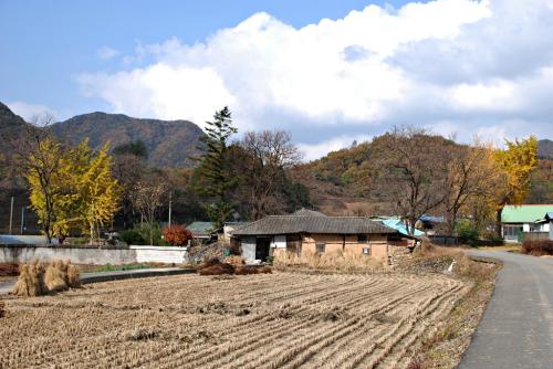 옥천 서대저수지