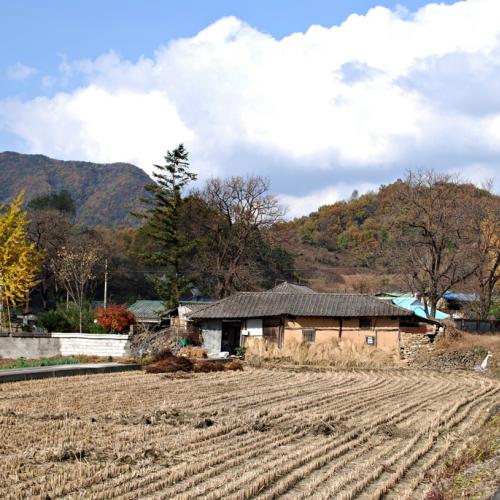 옥천 서대저수지