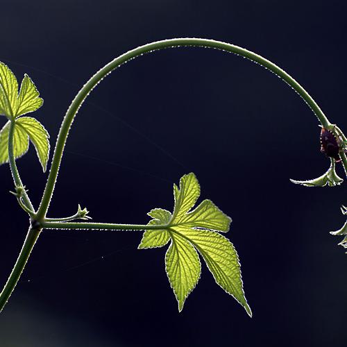 오늘 아침엔217탄(보는시각에 따라서...)