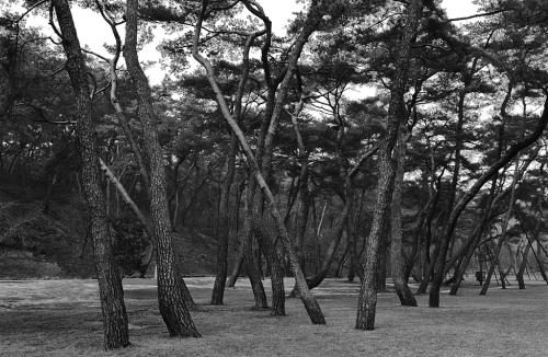 여주 세종대왕릉