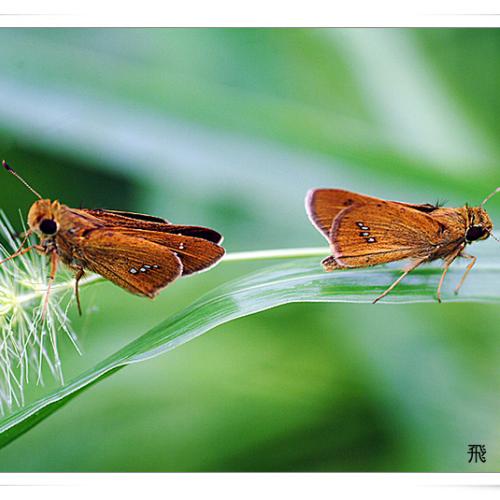 오늘 아침엔93탄