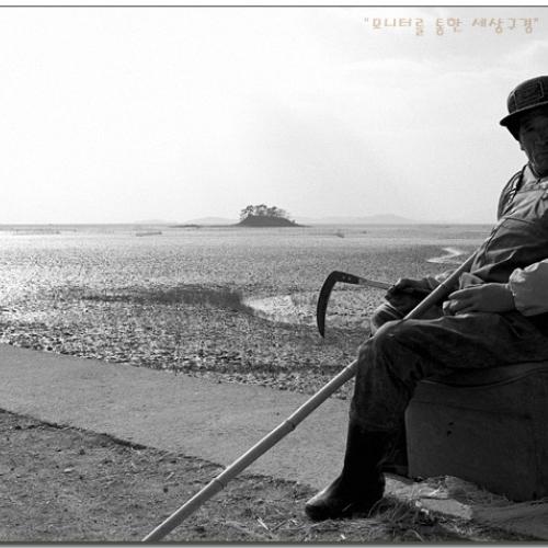 순천만의 추수(秋收)