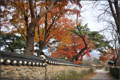 가을 깊은 날에
