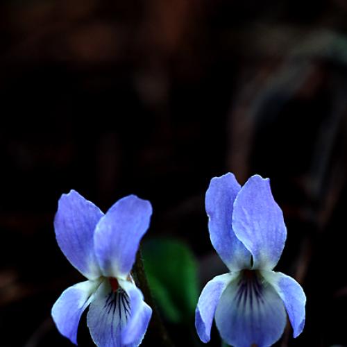 오늘 아침엔155-2탄