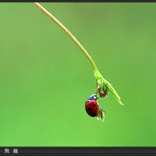 오늘 아침엔 94탄(연작)