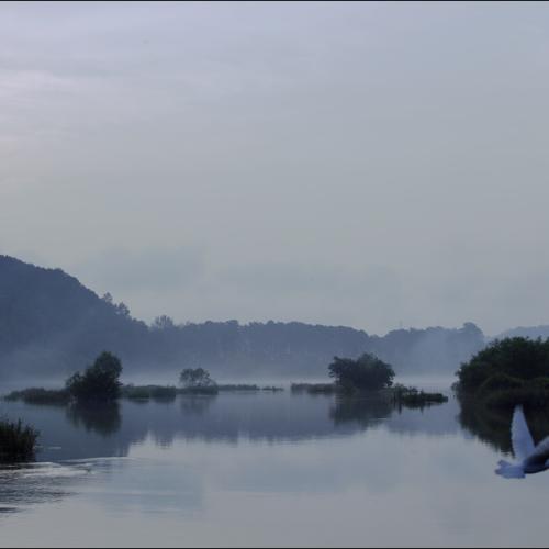 안개가 있는풍경!..(1)