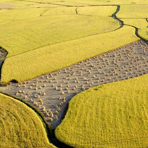 잃어버린 퍼즐 한조각