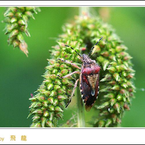 오늘 아침엔95탄