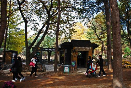 나미나라공화국1-1