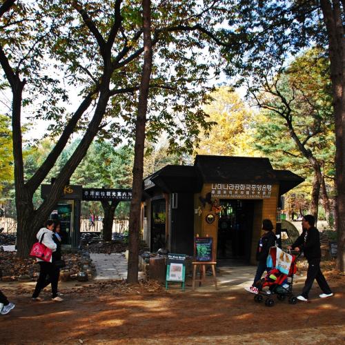 나미나라공화국1-1