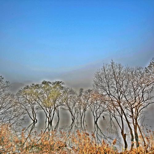 대청호변의 새벽