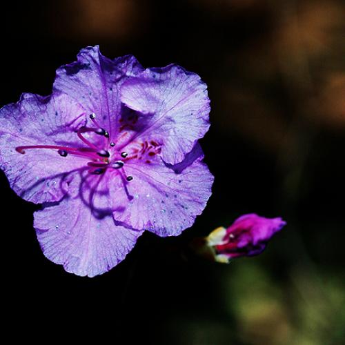 오늘아침엔.....