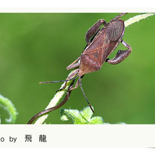 오늘 아침엔96탄