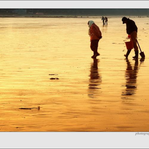 [일천점샷^^*]모자의 황금빛귀로