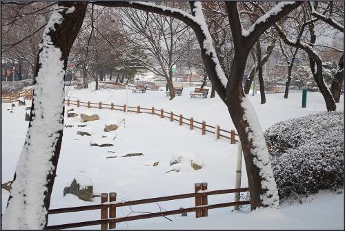 겨울의 공원