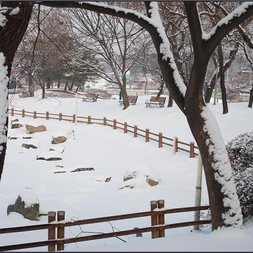겨울의 공원