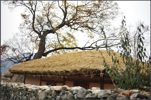 가을 깊은 날에