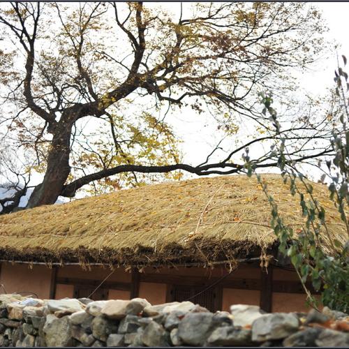 가을 깊은 날에