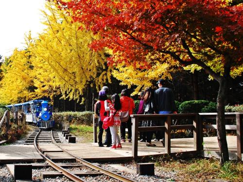 나미나라공화국1