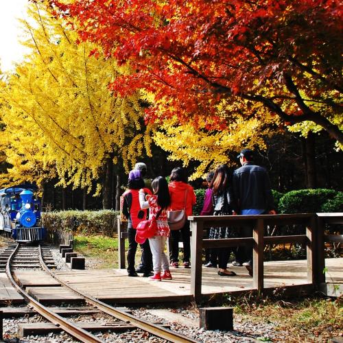 나미나라공화국1