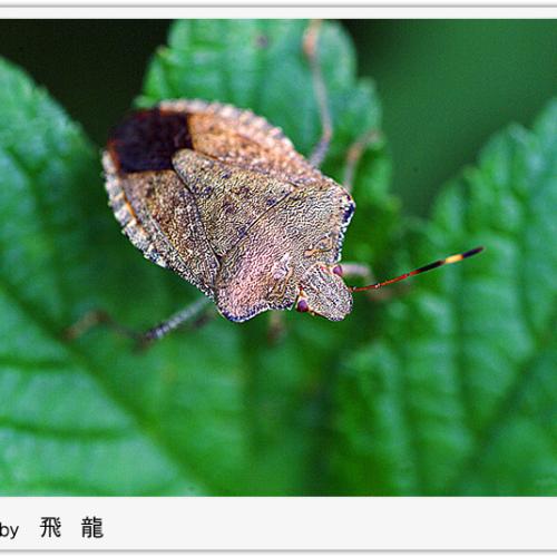 오늘 아침엔97탄