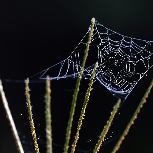 오늘 아침엔218-2탄