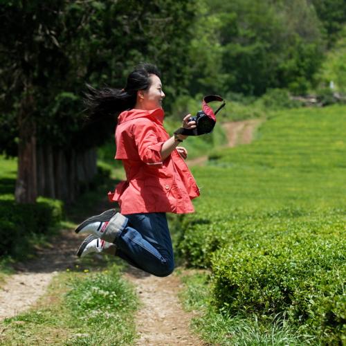 녹차밭의 인프리님