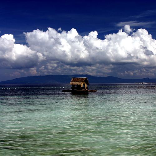 그 바다에 다시 가고 싶다