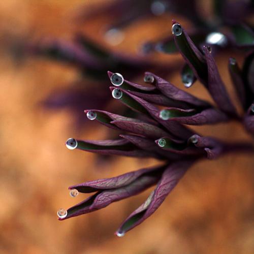 오늘 아침엔155탄