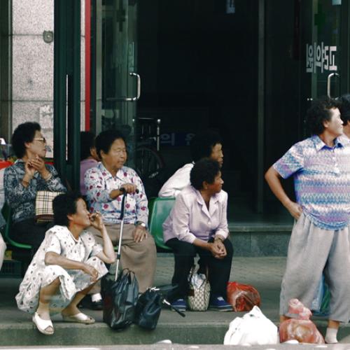 무엇을 보고들 계실까....