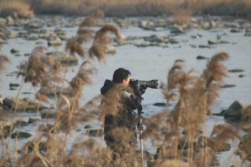 미르님 ... 많이 잡으셨는지?