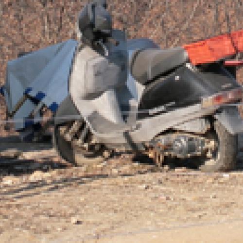 어느 사진가의 하루