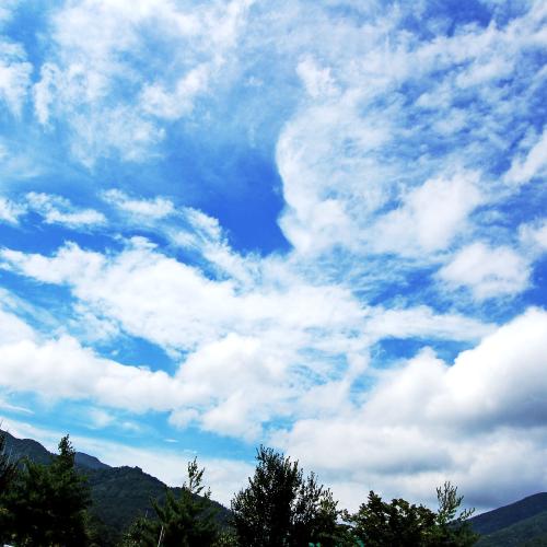 일요일의 하늘입니다,