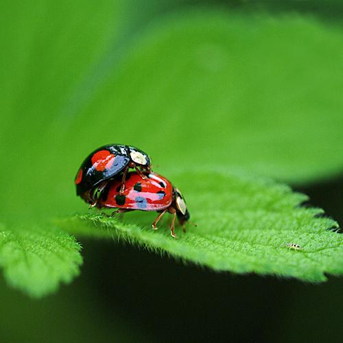 오늘 아침엔217탄(침입자)