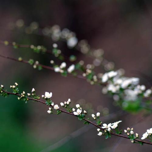 오늘아침엔4탄(연 작)