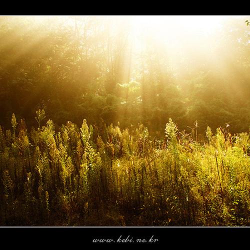빛속으로..