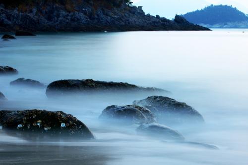 즐거운 출사 감사했습니다......,