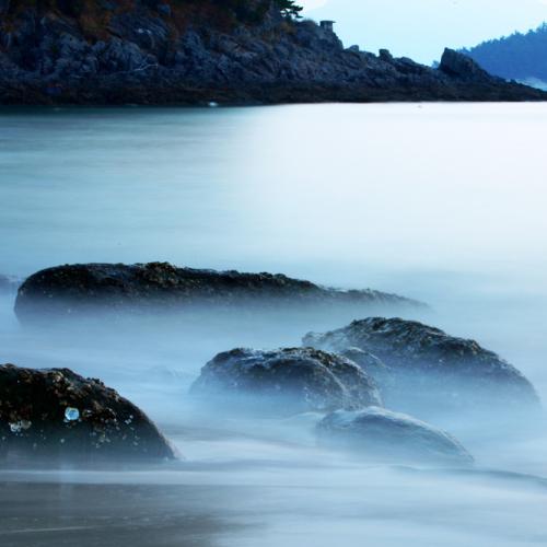 즐거운 출사 감사했습니다......,